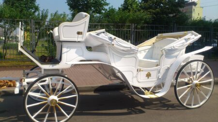 Карета "Виз-а-ви"-0