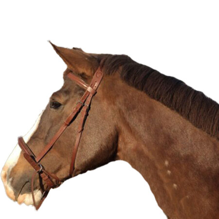 Уздечка Кука-0