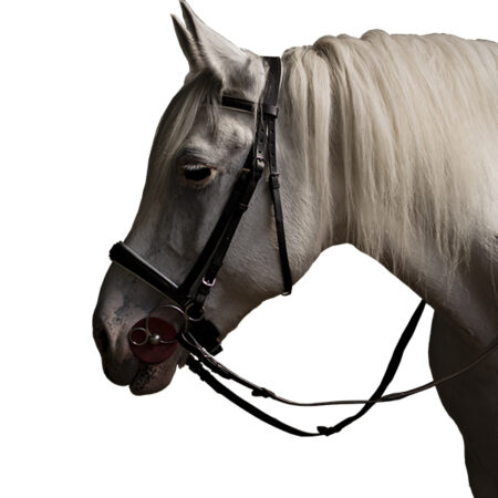 Уздечка с немецким капсюлем-0