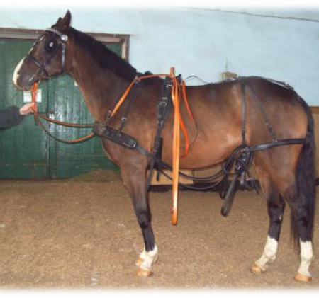 Упряжь одинарная европейская-0