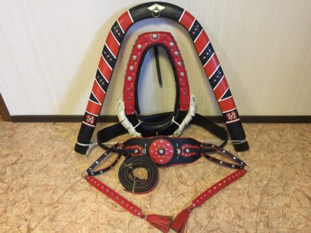 Упряжь выездная-0