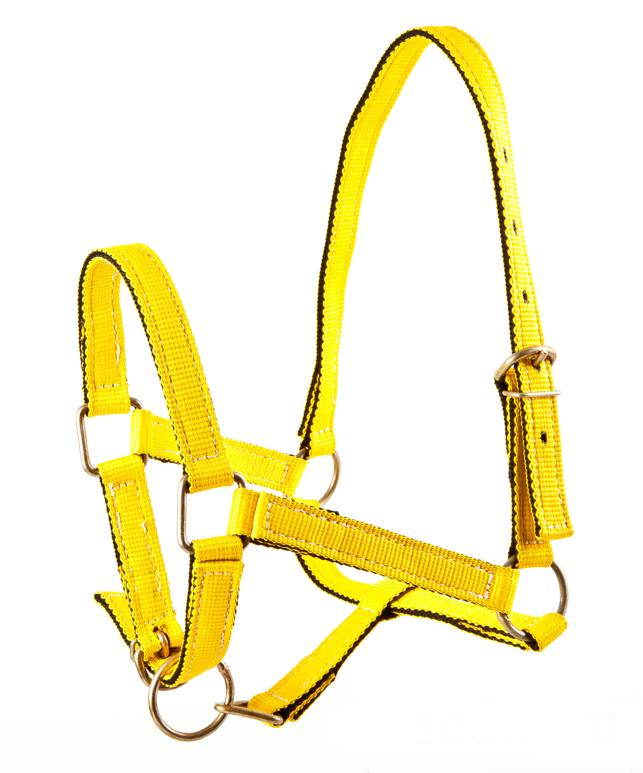 Недоуздок ременной-0