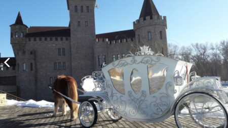 Карета для пони "Золушка" -0