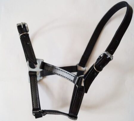 Недоуздок кожаный двухслойный-0